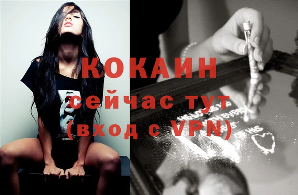 мяу мяу мука Баксан