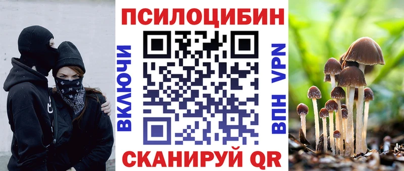 Псилоцибиновые грибы ЛСД  блэк спрут сайт  Демидов 