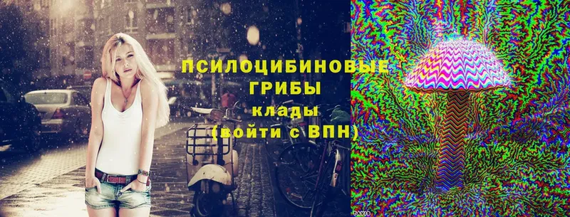 Галлюциногенные грибы MAGIC MUSHROOMS  закладка  Демидов 